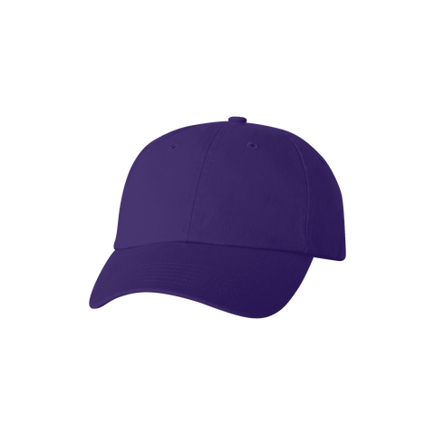  Ryker:low-pro cap,Purple / Blank
