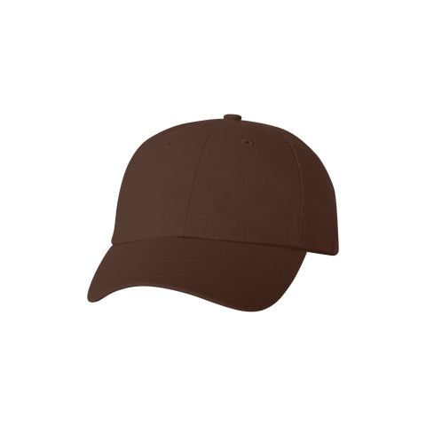  Ryker:low-pro cap,Brown / Blank